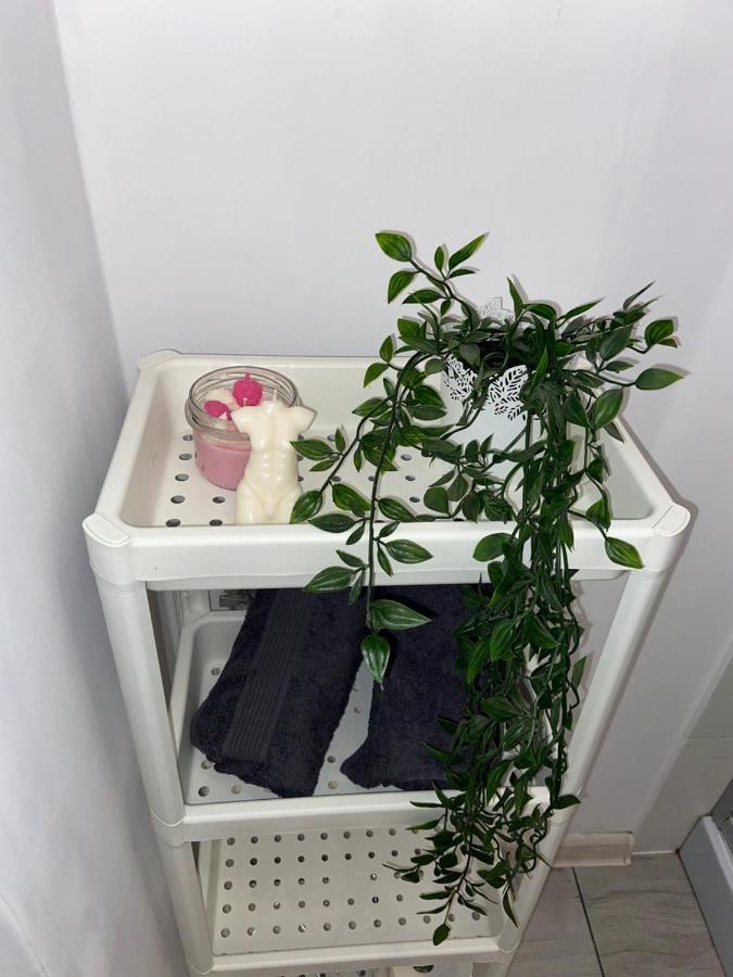 Apartament Grunwaldzka Быдгощ Экстерьер фото